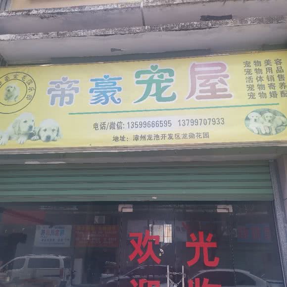 帝豪宠屋:漳州市龙海区角美镇附近
