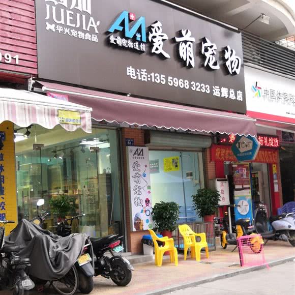 爱萌宠物(运辉总店):漳州市龙海区石码街道附近