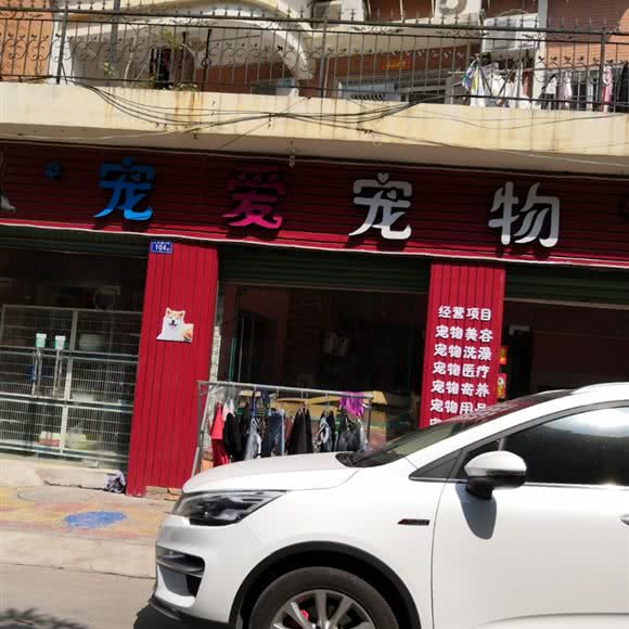 宠爱宠物:漳州市龙海区石码街道附近