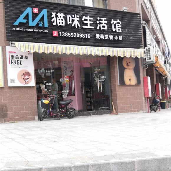 猫咪生活馆:漳州市龙海区石码街道附近