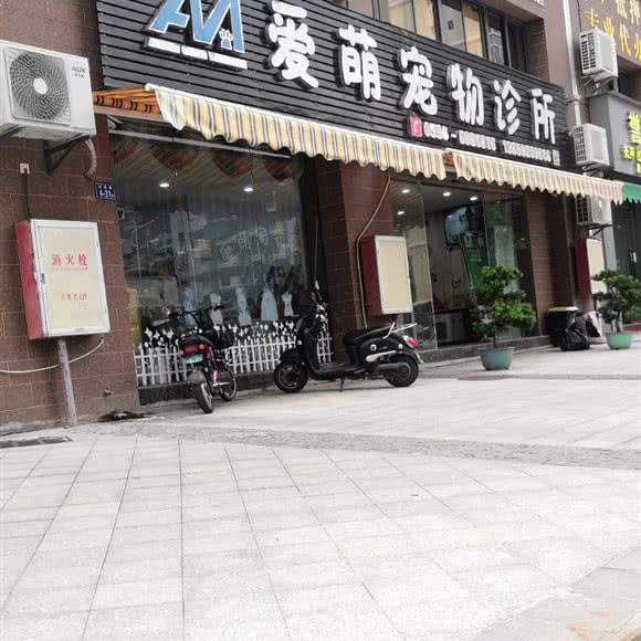 爱萌宠物诊所:漳州市龙海区石码街道附近