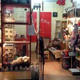 哈妮宝贝宠物坊:龙岩市新罗区中山路步行街附近