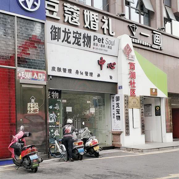 御龙宠物:龙岩市新罗区登高西路/登高中路附近