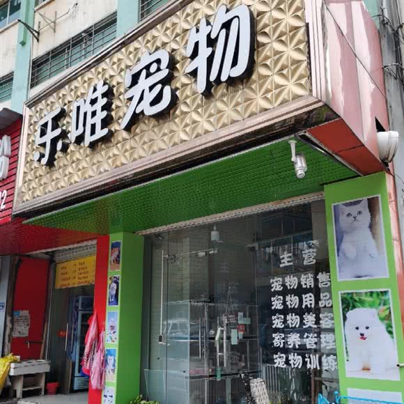 乐唯宠物:龙岩市新罗区龙腾路附近
