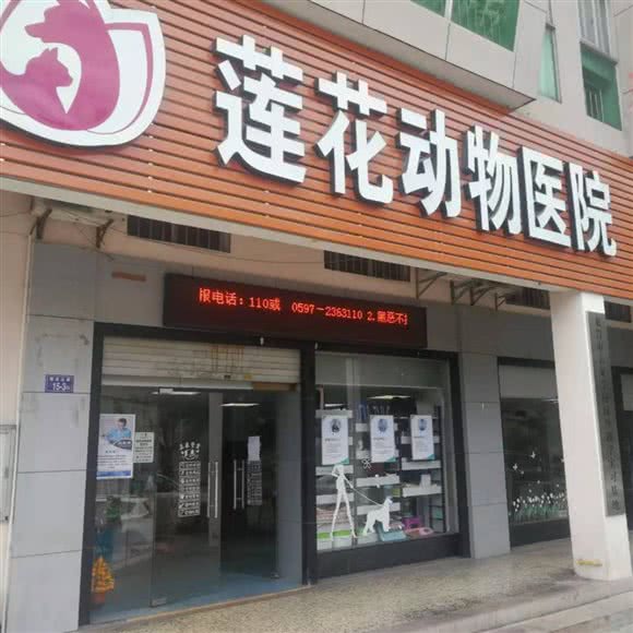 莲花动物医院(莲东店):龙岩市新罗区莲东附近