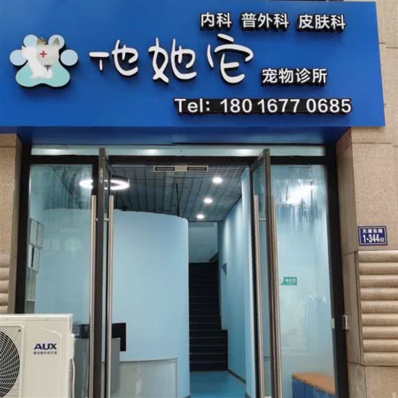 他们她它宠物医院:宁德市蕉城区万达附近
