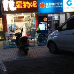 爱狗狗:南昌市东湖区八一广场/省府附近