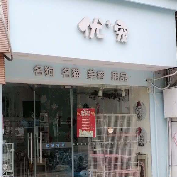 优家宠物:南昌市东湖区八一广场/省府附近