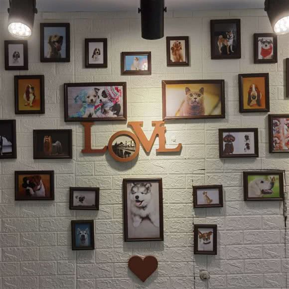 MiGO宠物猫咖:南昌市东湖区中山路附近