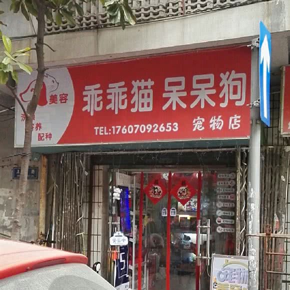 乖乖猫呆呆狗:南昌市东湖区胜利路附近