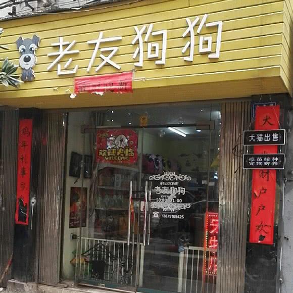 老友狗狗宠物店:南昌市东湖区百花洲附近