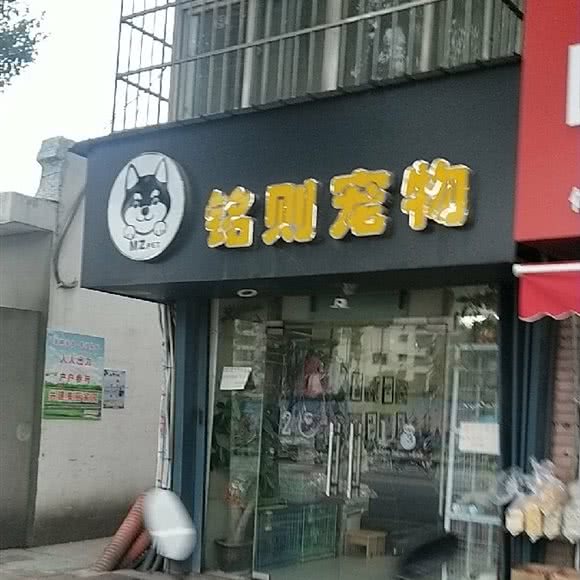 铭则宠物(三经路店):南昌市东湖区豫章附近