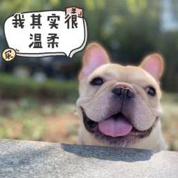 芭比熊宠物生活馆:南昌市东湖区青山路/青山湖风景区附近