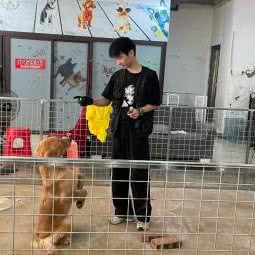 宠语堂宠物生活馆:南昌市东湖区青山路/青山湖风景区附近