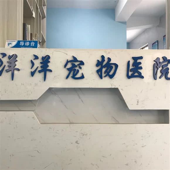 洋洋宠物医院(蓝天碧水店):南昌市东湖区青山路/青山湖风景区附近