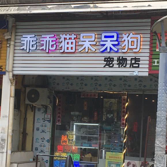 乖乖猫呆呆狗(二店):南昌市东湖区福州路附近