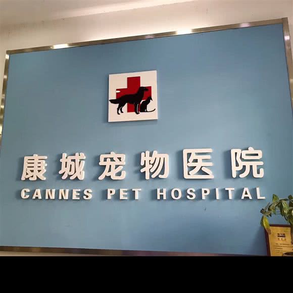 康城宠物医院(叠山路总店):南昌市东湖区墩子塘附近