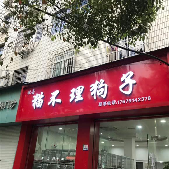 恒嘉猫不理狗子:南昌市西湖区八一广场/省府附近