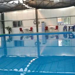 狗狗游泳馆:北京城区平谷区平谷区附近