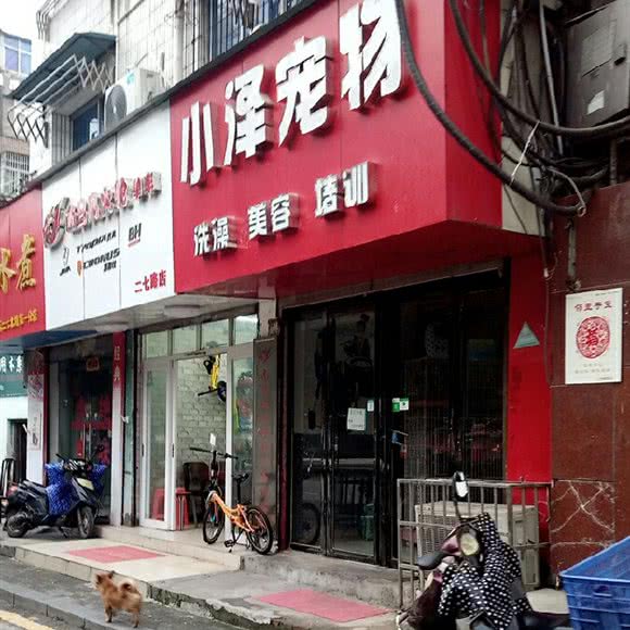 小泽宠物:南昌市西湖区八一广场/省府附近