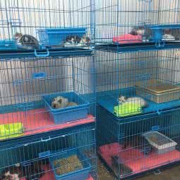 小海宠物园:南昌市西湖区洪城大市场附近