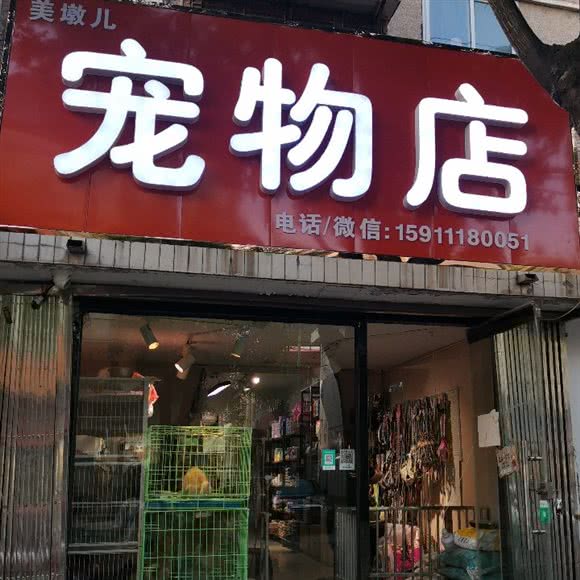 美墩儿宠物:北京城区平谷区平谷区附近
