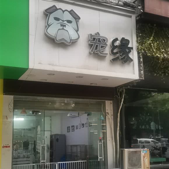 宠缘:南昌市西湖区桃源附近