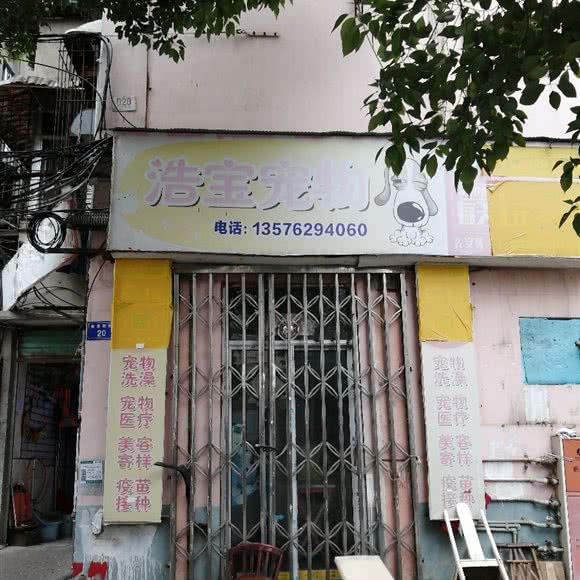 浩宝宠物:南昌市西湖区绳金塔附近