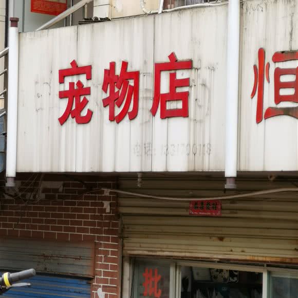 宠物店:南昌市西湖区桃花镇附近