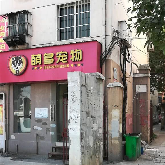 萌多宠物:南昌市青云谱区解放西路附近