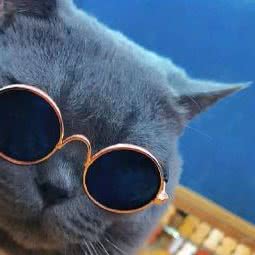 宠乐园:南昌市青云谱区岱山附近