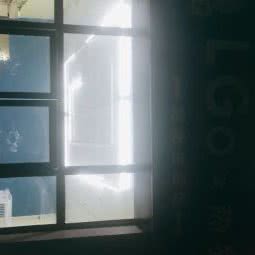 LGO宠物生活馆:南昌市青云谱区象湖附近