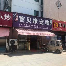 富贝缘宠物中心:南昌市青云谱区象湖附近