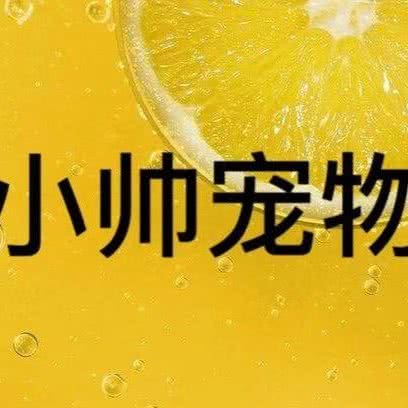 小帅宠物店:北京城区平谷区平谷区附近