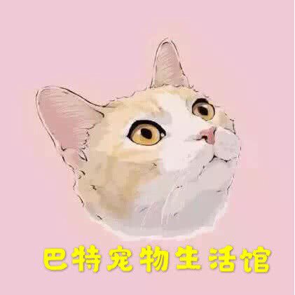 巴特宠物生活馆:南昌市青云谱区象湖附近