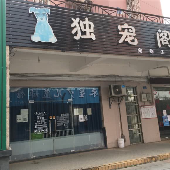 独宠阁宠物生活馆:南昌市青山湖区昌北经济开发区附近