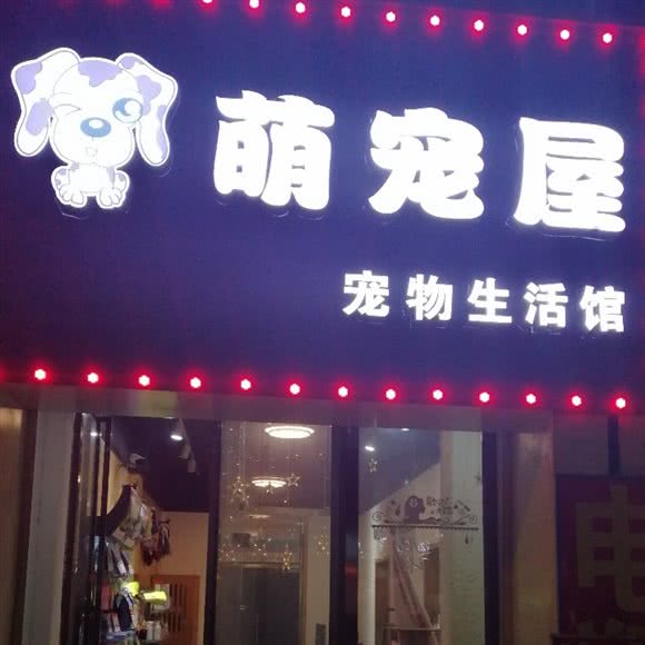 萌宠屋宠物狗生活馆:南昌市青山湖区恒茂梦时代附近