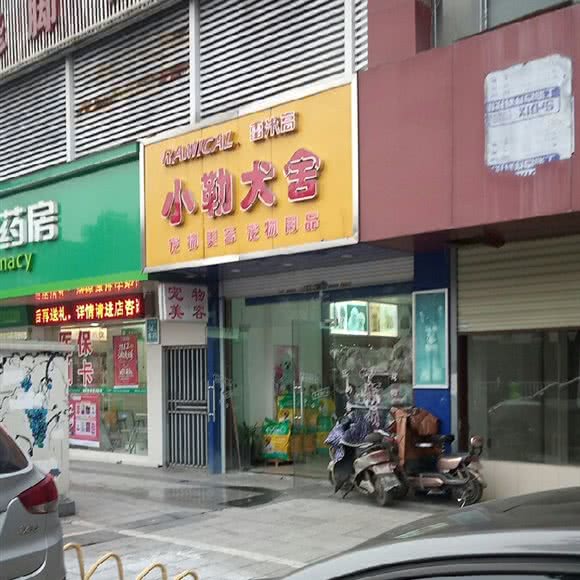 小勒犬舍:南昌市青山湖区火车站附近