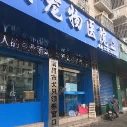 贝贝宠物医院(国威路店):南昌市青山湖区南昌大学附近