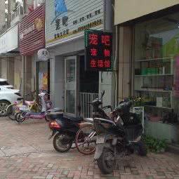 宠家宠物美容生活馆:南昌市青山湖区上海路附近