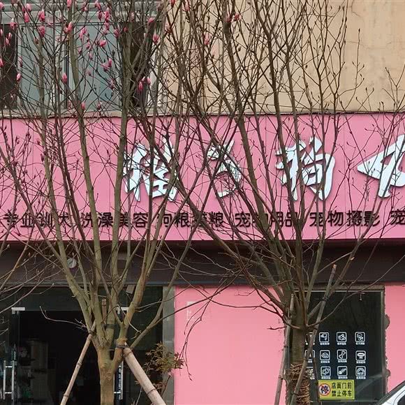 猫3狗4:南昌市青山湖区上海路附近