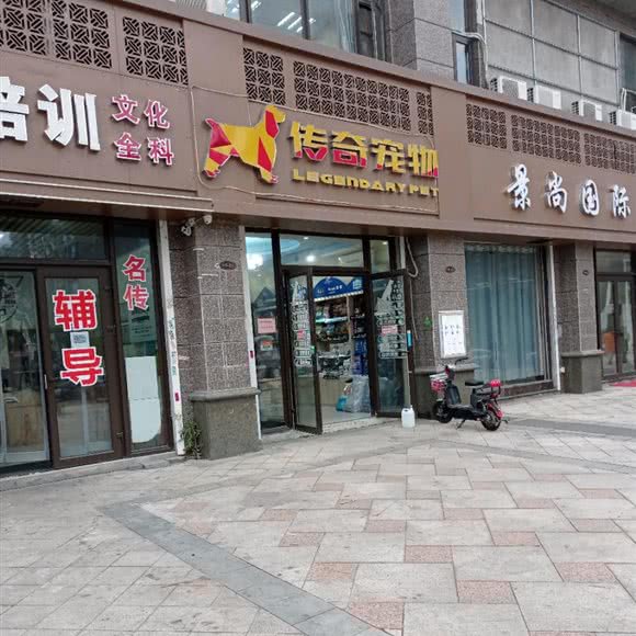 传奇宠物:南昌市青山湖区京东大道附近