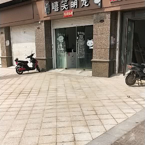 嘻笑萌宠:南昌市青山湖区京东大道附近