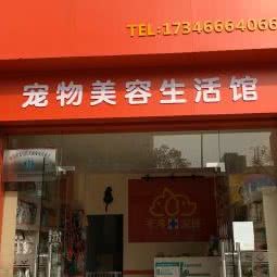 千寻宠物门诊:南昌市青山湖区京东大道附近