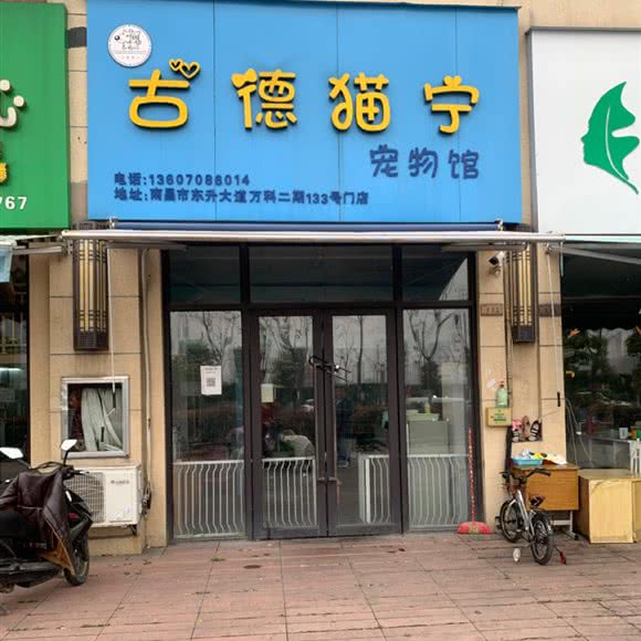 古德猫宁宠物馆:南昌市青山湖区昌东大道附近