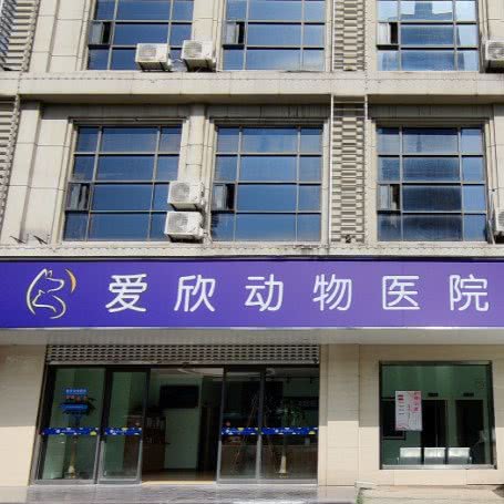 爱欣动物医院:南昌市青山湖区青山路沿线附近