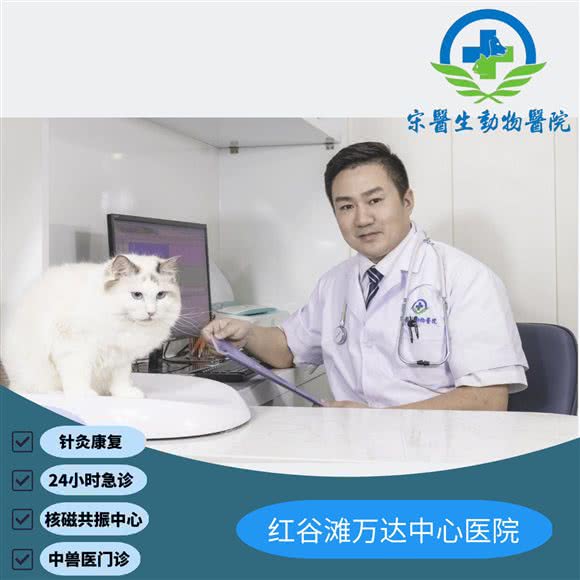 宋医生动物医院（24hMRI中心）:南昌市红谷滩区万达广场附近