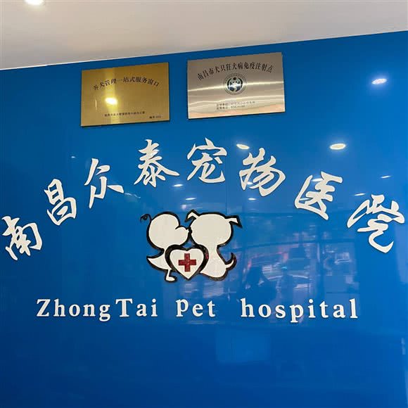 众泰宠物医院(红谷滩):南昌市红谷滩区万达广场附近