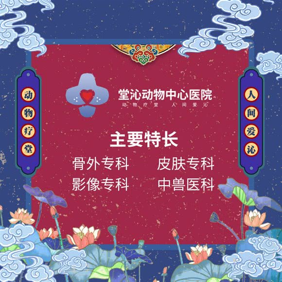 堂沁宠物诊所(红谷滩店):南昌市红谷滩区怡园路附近