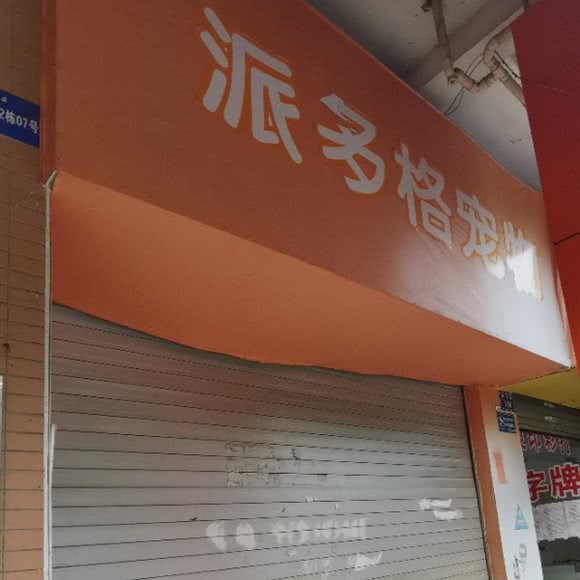 派多格宠物:南昌市红谷滩区丽景路附近